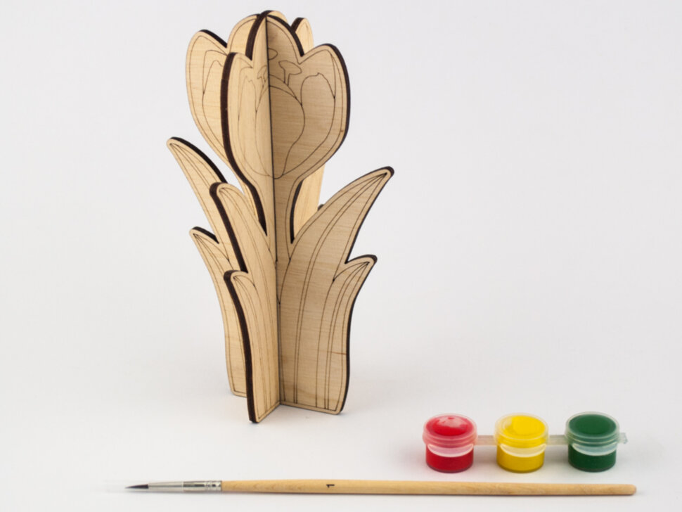 Дерев'яна розмальовка 3D - Крокус
