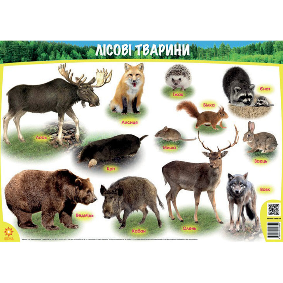 Плакат Лісові тварини А1 формату (841х594 мм)