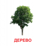 Картки міні. Рослини (110х110 мм)