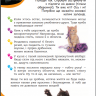 Я люблю котиків