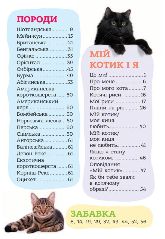Я люблю котиків