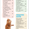 Я люблю котиків