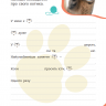 Я люблю котиків