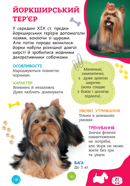 Я люблю песиків