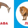 Дикі тварини. Перша книжка малюка