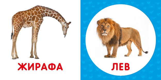 Дикі тварини. Перша книжка малюка
