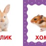 Свійські тварини. Перша книжка малюка Свійські тварини. Перша книжка малюка