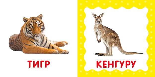 Дикі тварини. Перша книга малюка