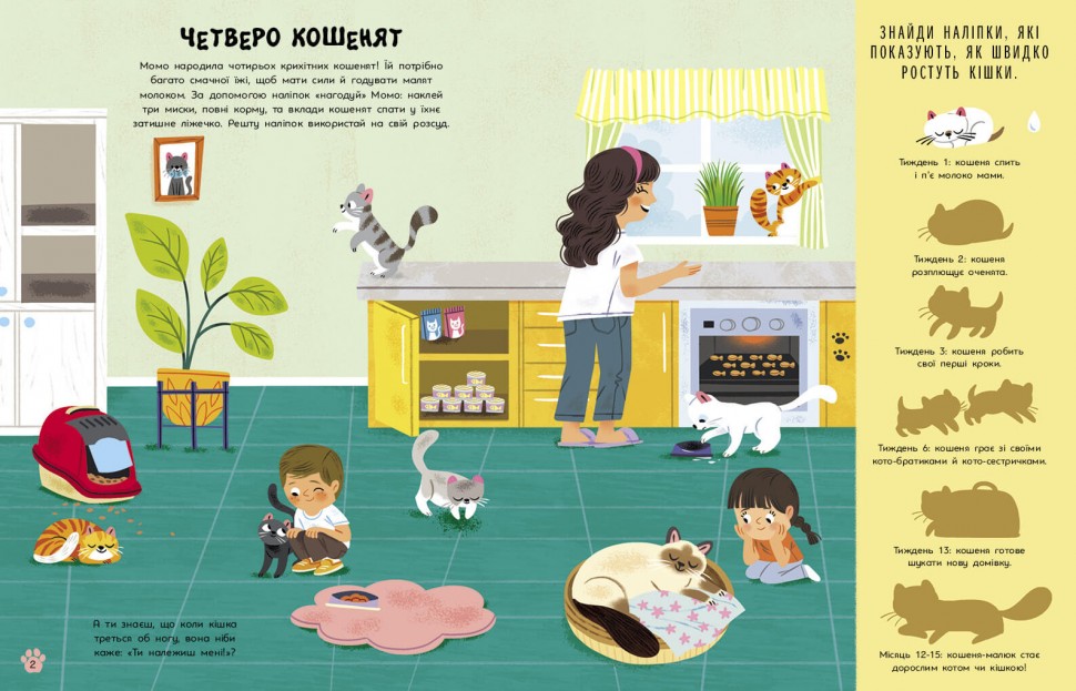 Котики. Усе, що ти маєш знати про котів – Седлачкова Яна