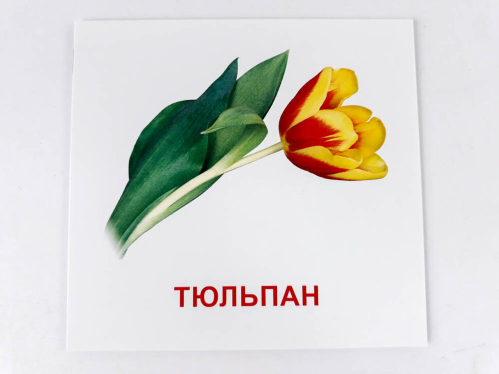 Картки міні Квіти (110х110 мм) (Укр)