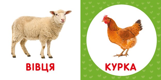 Свійські тварини. Перша книга малюка