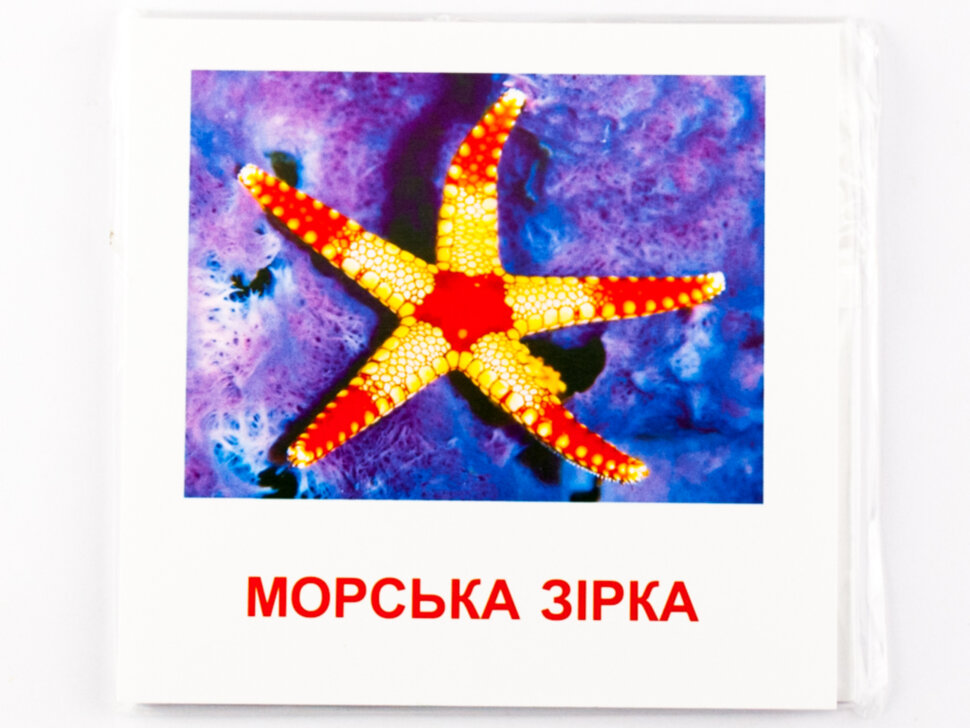 Картки міні Морські жителі (110х110 мм) (Укр)
