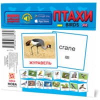 Картки міні Птахи (110х110 мм) (Укр)